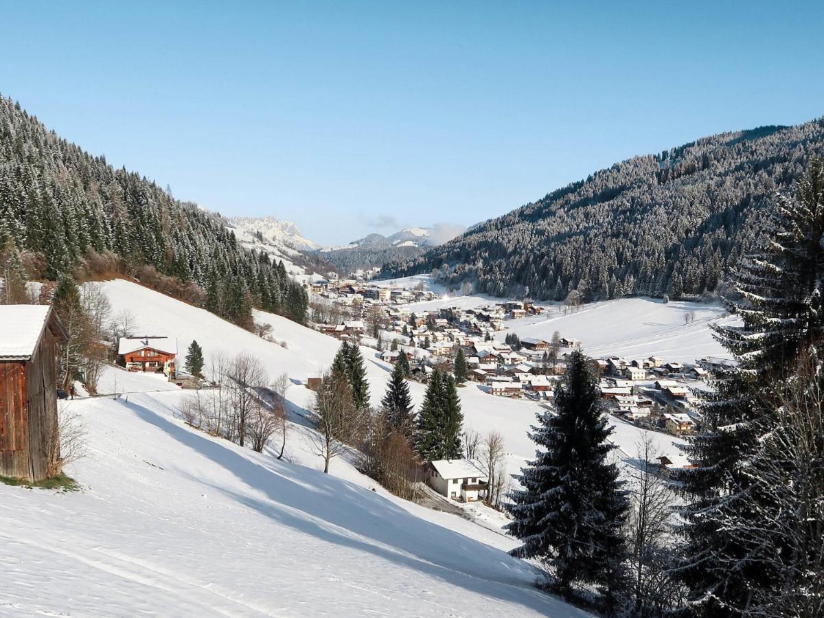 Apartment Chalet Edelweiss - Wil001 By Interhome Auffach Εξωτερικό φωτογραφία